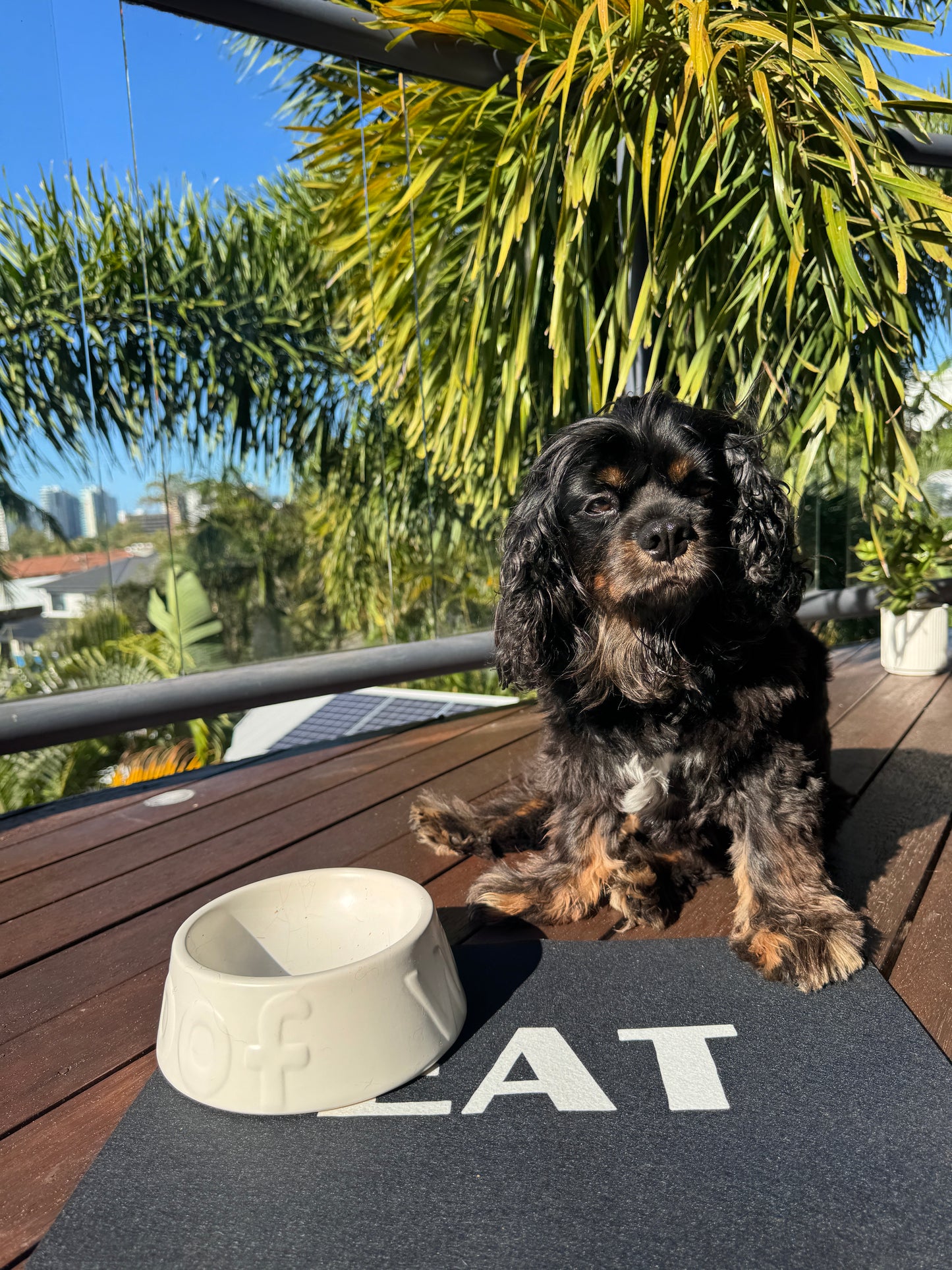Food Here - Pet Feeding Mat