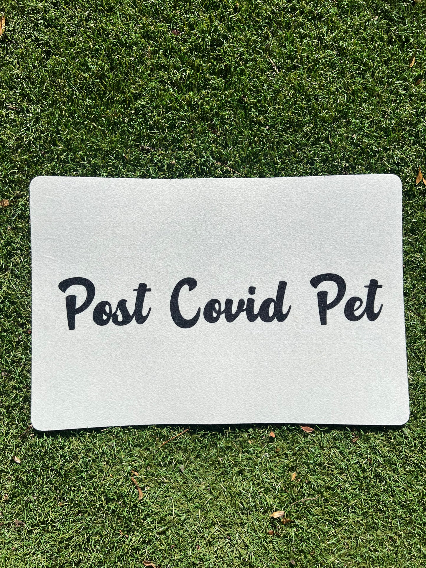 Food Here - Pet Feeding Mat